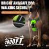 A dog wearing a bright, glowing harness is shown in an outdoor setting with a light beam effect.
