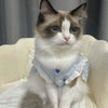 Un chat gris et blanc duveteux portant un collier ajustable bleu clair avec un pendentif de gemme bleue.