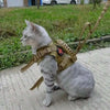 A gray cat wearing a tan mesh harness with a red cross emblem standing on a paved surface.