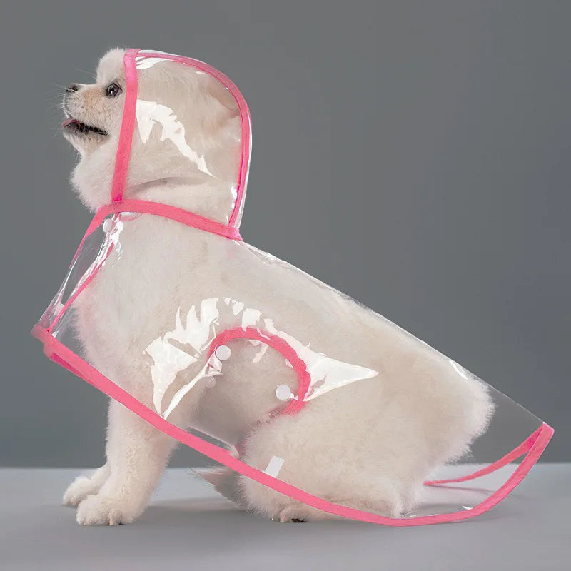Ein helles Hund trägt einen durchsichtigen Plastikregenmantel mit rosa Zierrand zum Schutz vor Regen.