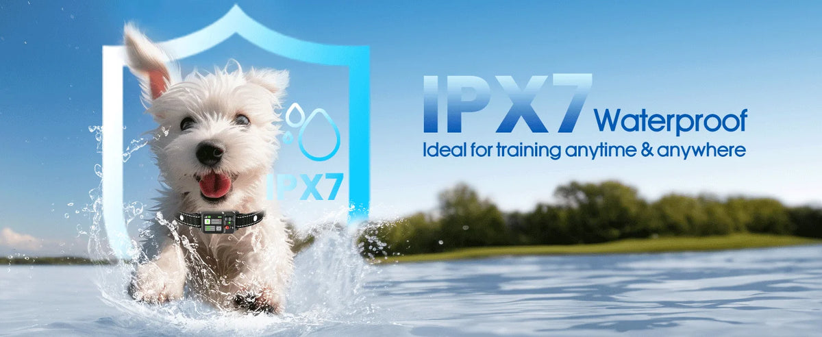 كلب أبيض يقفز في الماء مع طوق ودرع مقاوم للماء IPX7.