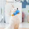 A white dog is holding a blue and orange plush duck toy.