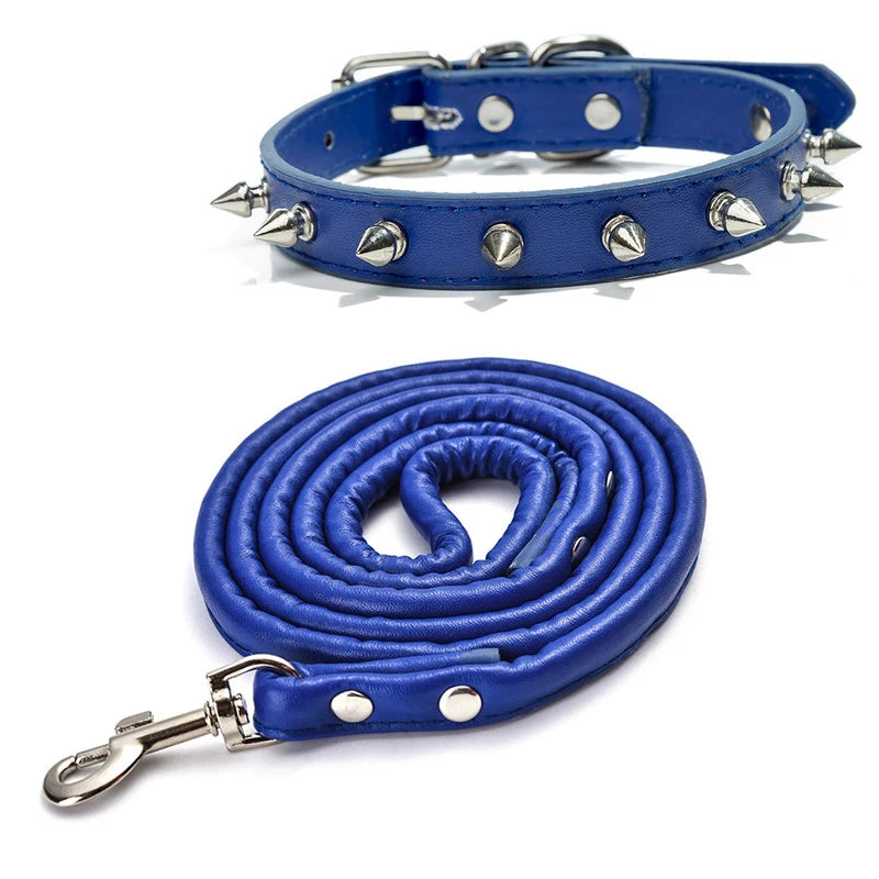 A royal blue studded leather dog collar with metal rivets shown flat and coiled.