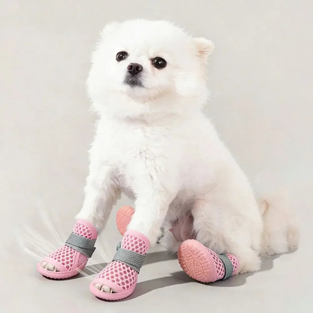 A white fluffy dog is wearing pink breathable mesh shoes for summer protection.