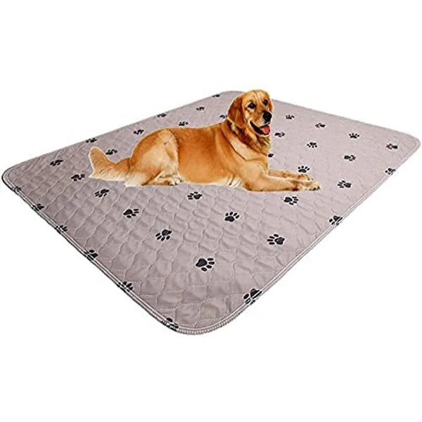 A golden retriever dog lying on a gray washable reusable dog urine pad with paw print patterns.
