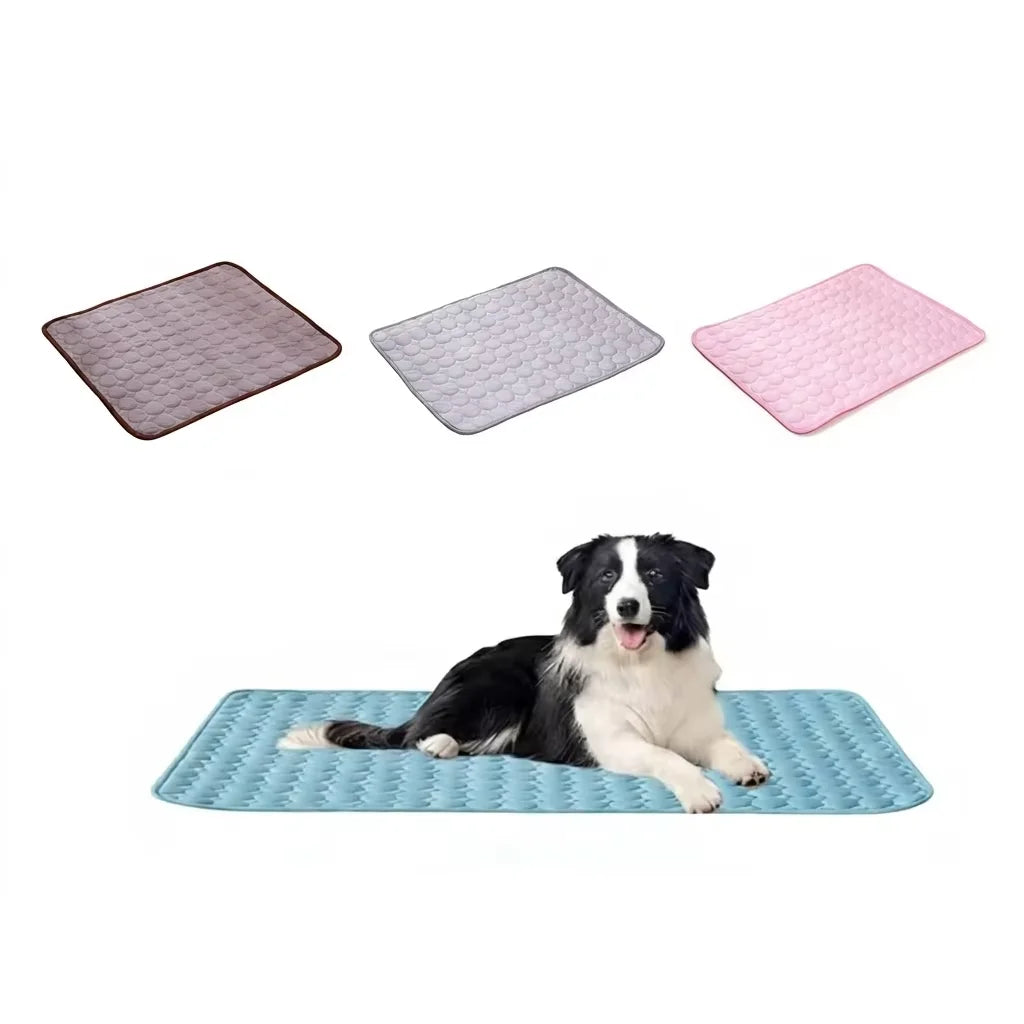 Un perro en blanco y negro está tumbado en una esterilla de enfriamiento azul con varias esterillas de silicona cerca.