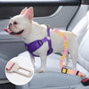 A white dog wearing a purple harness is shown next to an adjustable car seat belt product.