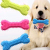 Un cachorro de golden retriever junto a tres juguetes masticables en forma de hueso para perros de colores brillantes: verde,