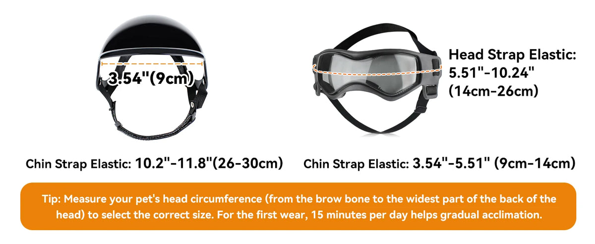 A set of pet safety helmet and goggles for dogs and cats with adjustable chin straps.