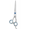A pair of professional stainless steel pet grooming scissors with blue accents.