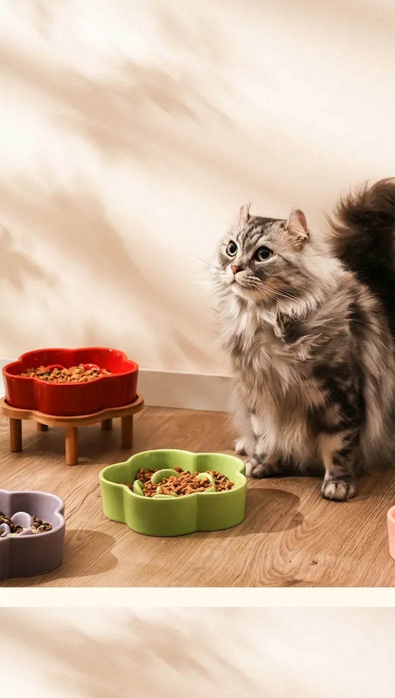A fluffy gray cat is looking at several ceramic slow feeder bowls of dry food placed on a wooden surface.