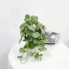 Artificial Hanging Plant Vines for Home Decor