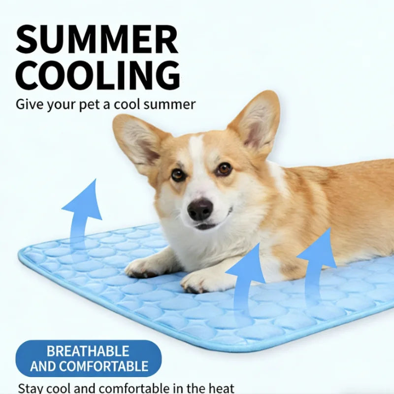 Ein kleiner Hund liegt auf einer blauen Kühlmatte, die Sommerkühlung für Haustiere demonstriert.