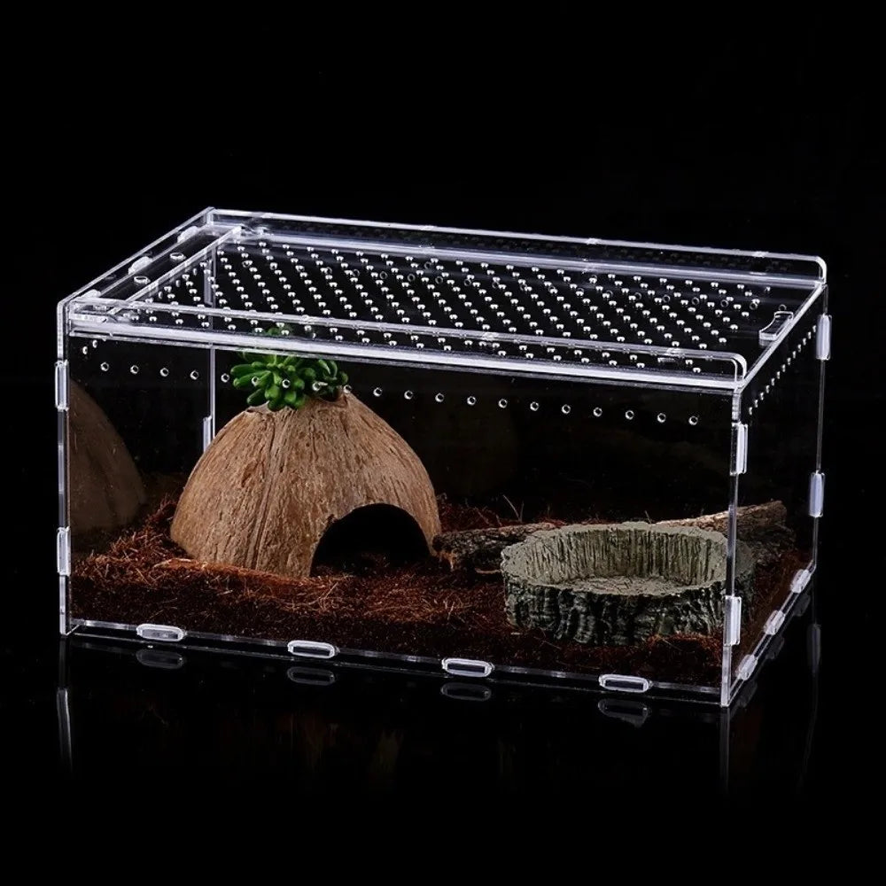 Enclos pour reptile en plastique transparent avec substrat et petite plante verte.