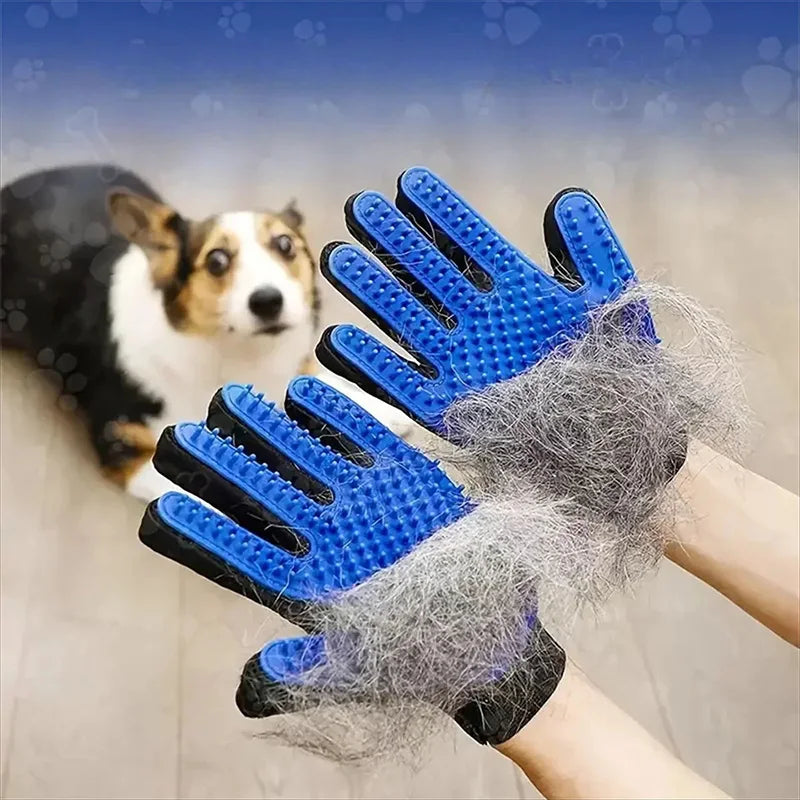 Blue pet grooming hair remover gloves being used to remove hair from a dog's fur.
