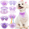 A fluffy white dog wearing a purple lace bowtie collar accessory for small pets.