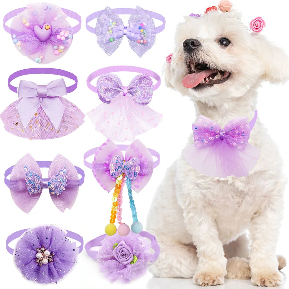 A fluffy white dog wearing a purple lace bowtie collar accessory for small pets.
