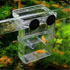 Un bac d'isolement de reproduction transparent pour guppys, suspendu dans un environnement aquatique naturel.