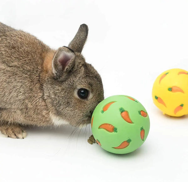 A gray squirrel is looking at a green ball shaped like a carrot, with a yellow ball nearby.