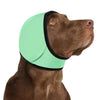 A brown dog wearing a light green calming noise reduction earmuff on its head.