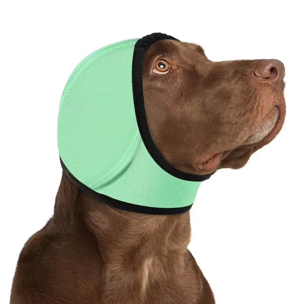 A brown dog wearing a light green calming noise reduction earmuff on its head.
