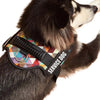 A dog wearing a black service dog harness with a multicolored patterned strap and silver ring.