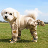 A fluffy white dog wearing tan plaid strolling pants with reflective elements outdoors.