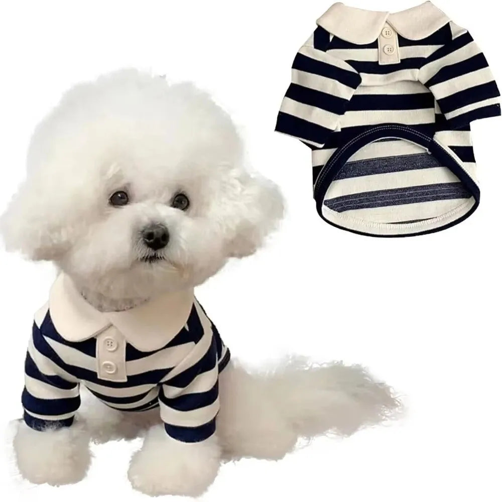 A white poodle wearing a navy and white striped breathable cooling vest dog hoodie.