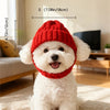 A white poodle wearing a red knit beanie hat with a matching collar.