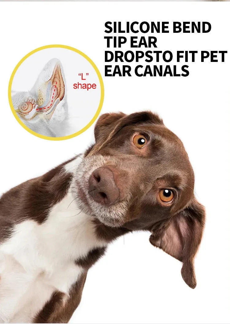 Tête d'un chien brun et blanc montrant la canal auriculaire, avec un applicateur à bec en silicone pour oreilles de chien à p