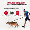 A dog is walking on a hands-free bungee leash with a shock-absorbing comfort feature.