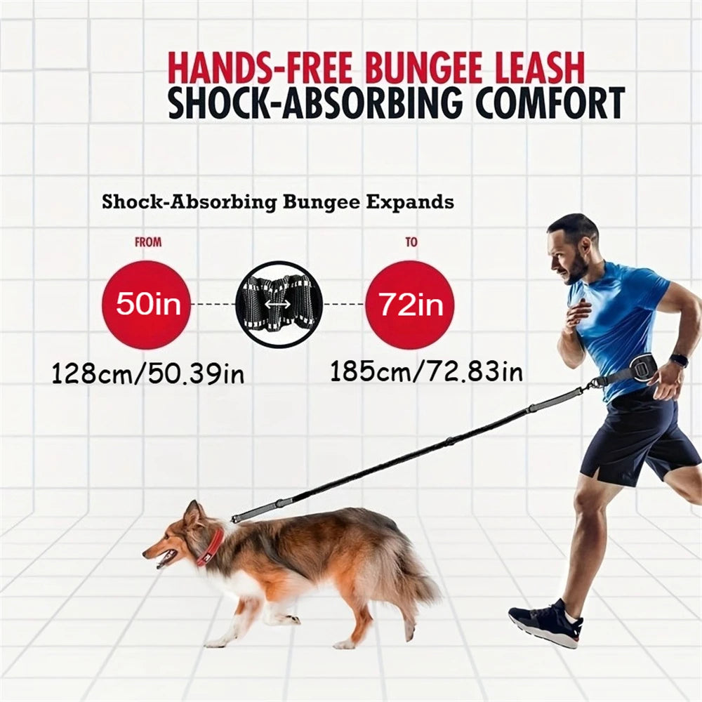 A dog is walking on a hands-free bungee leash with a shock-absorbing comfort feature.