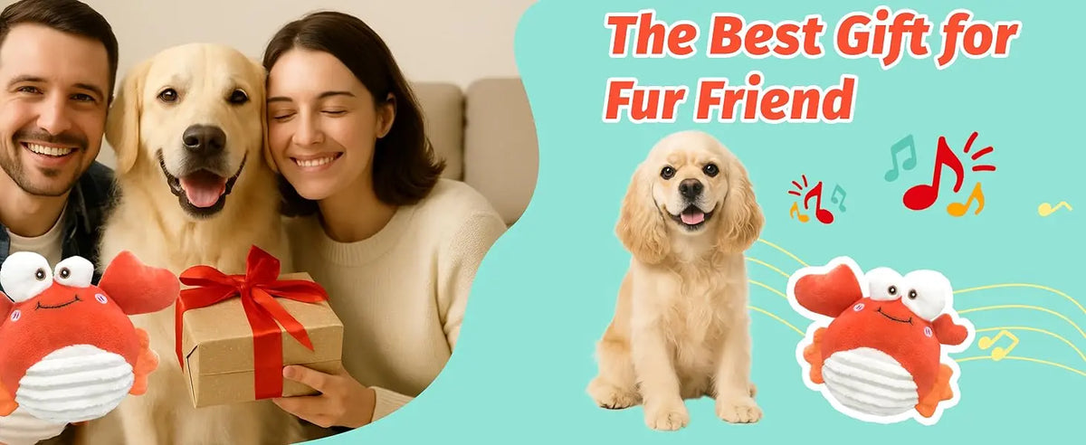 A woman holds a golden retriever and a gift box, with an interactive crab plush dog toy visible.