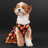 A small, light brown dog wearing an orange and black pumpkin lace dress for Halloween.