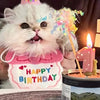 Un chaton blanc et duveteux portant un bibi rose d'anniversaire et un chapeau de fête, avec des guirlandes colorées sur la tê