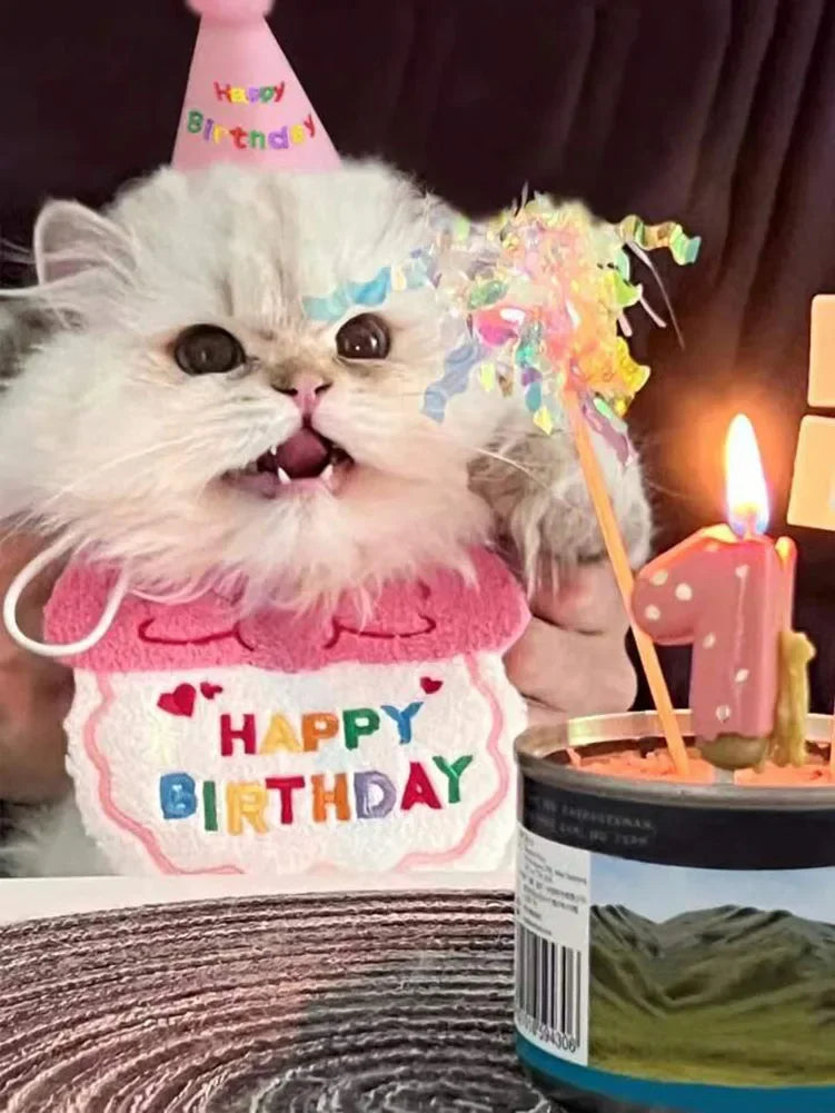 Un chaton blanc et duveteux portant un bibi rose d'anniversaire et un chapeau de fête, avec des guirlandes colorées sur la tê