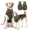 Un golden retriever portant un gilet vert olive apaisant à côté d'un chien plus petit portant le même gilet.
