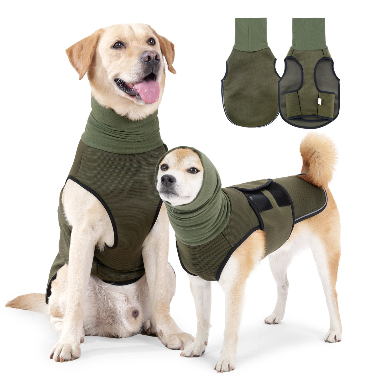 Un golden retriever et un petit chien portant le même gilet vert olive apaisant.