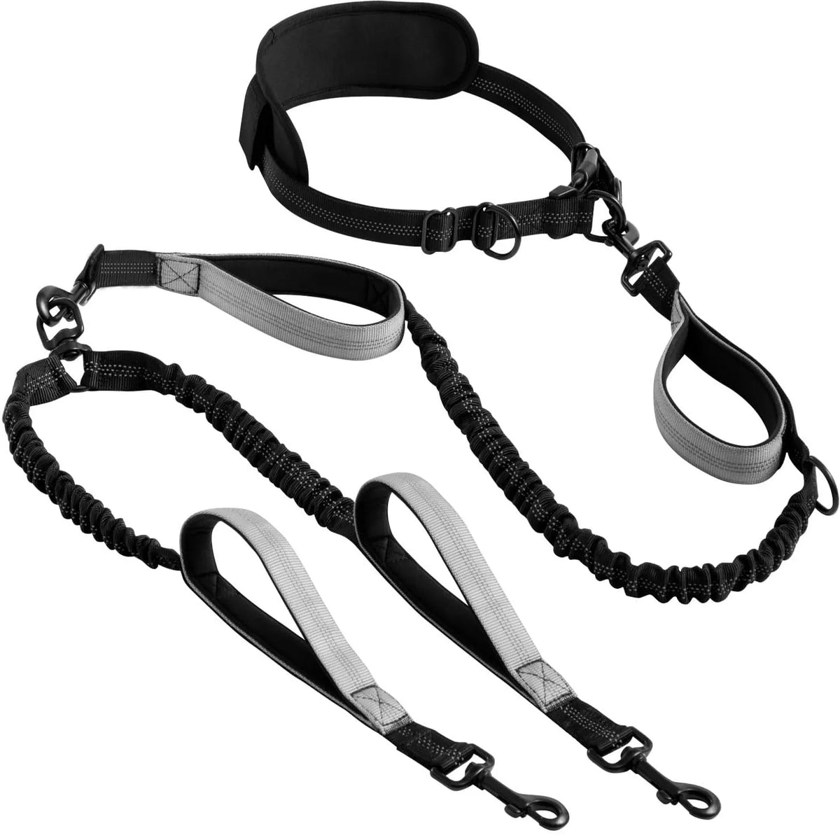 Black hands-free double dog leash for two dogs with padded handles