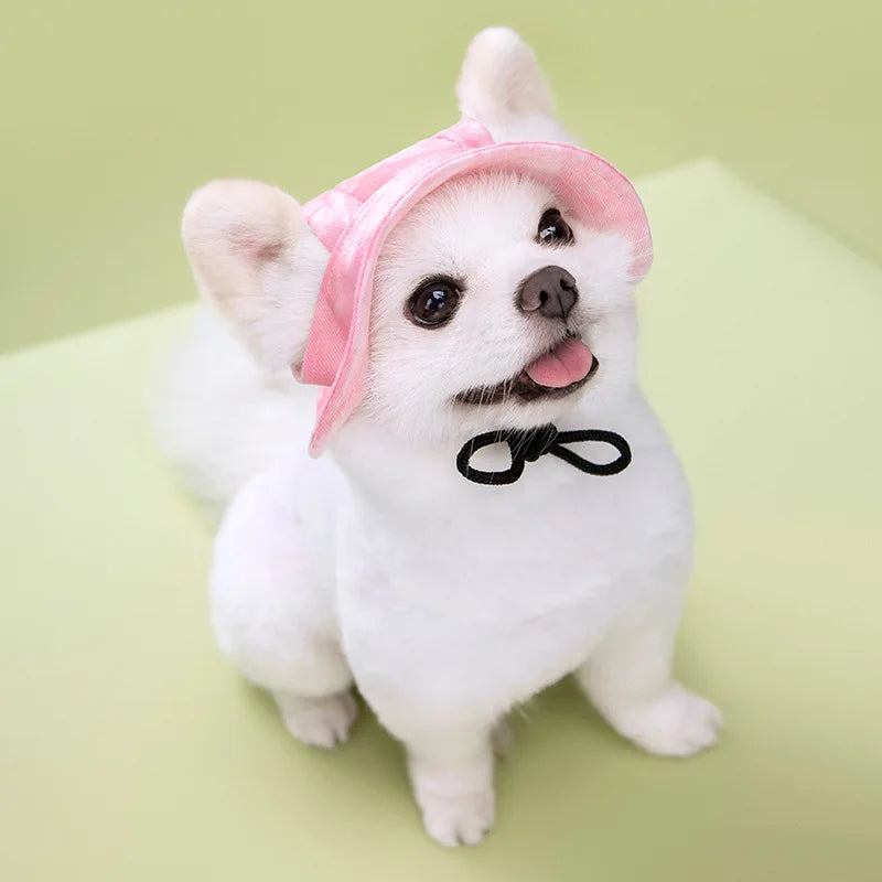 A white dog wearing a pink sun hat with ear holes, sitting on a light green surface.
