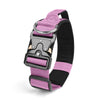 A purple and black tactical dog collar with a silver buckle and leather-like hardware.