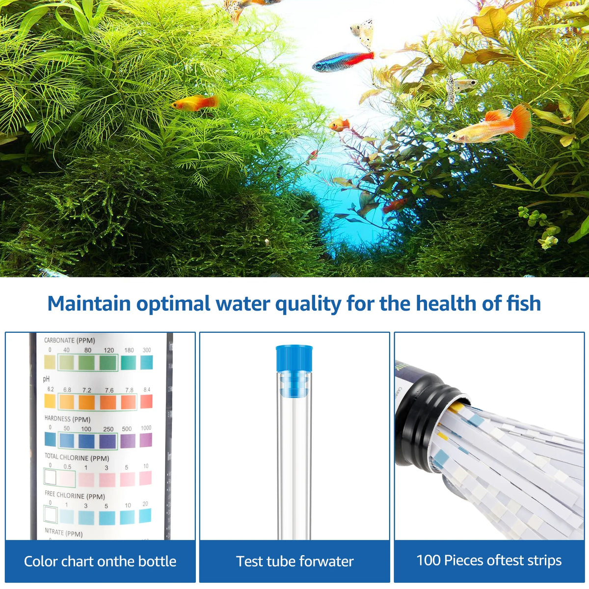 Tubo de ensayo de vidrio y carta de colores que demuestra cómo mantener la calidad del agua óptima para la salud de los peces