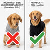 Comparison of an incorrect sized standard shirt and a perfect fit 9XL hoodie on a dog.