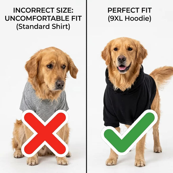 Comparison of an incorrect sized standard shirt and a perfect fit 9XL hoodie on a dog.