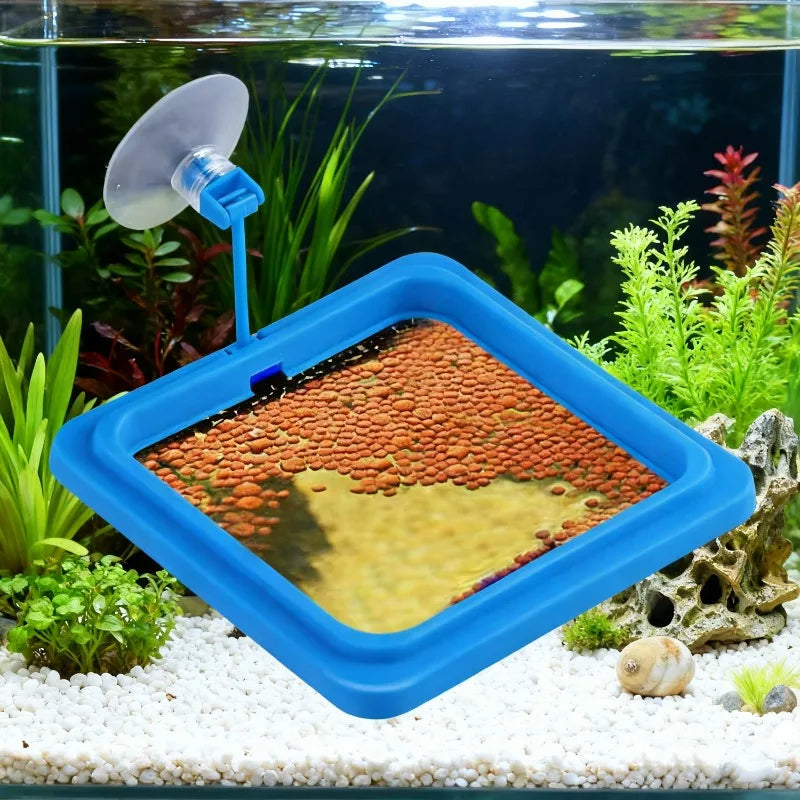 Un anneau d'alimentation bleu pour poissons d'aquarium est placé sur un substrat de gravier blanc dans un aquarium en verre.