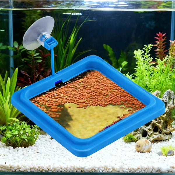 A blue feeding ring for aquarium fish is placed on a white gravel substrate inside a glass tank.
