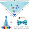 A light blue pet birthday outfit featuring a large text design and a decorative party hat.