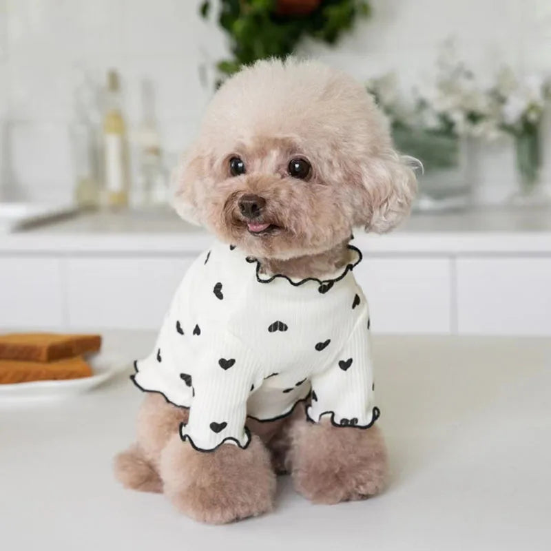 Ein flauschiger hellbrauner Hund trägt eine weiße Strickweste mit schwarzen Herzen.