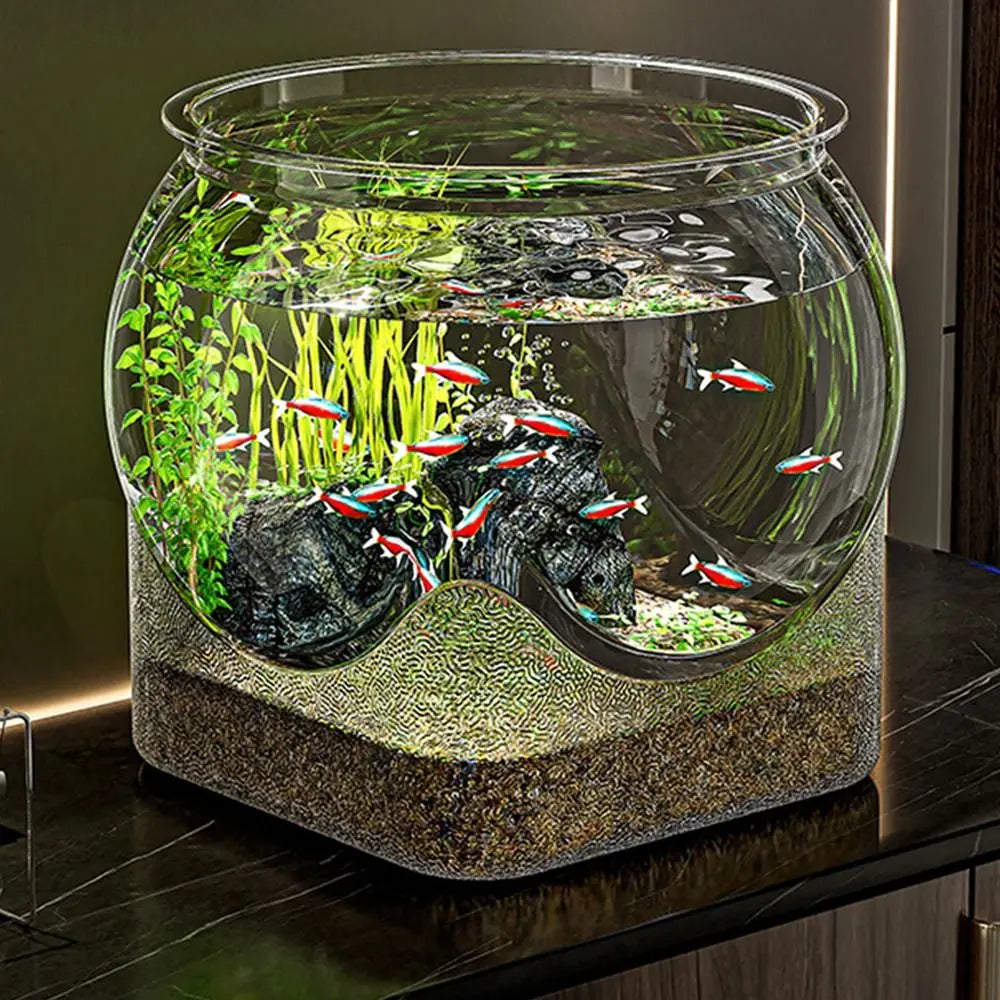 Aquarium en verre clair avec poissons tropicaux et plantes aquatiques sur une base texturée.