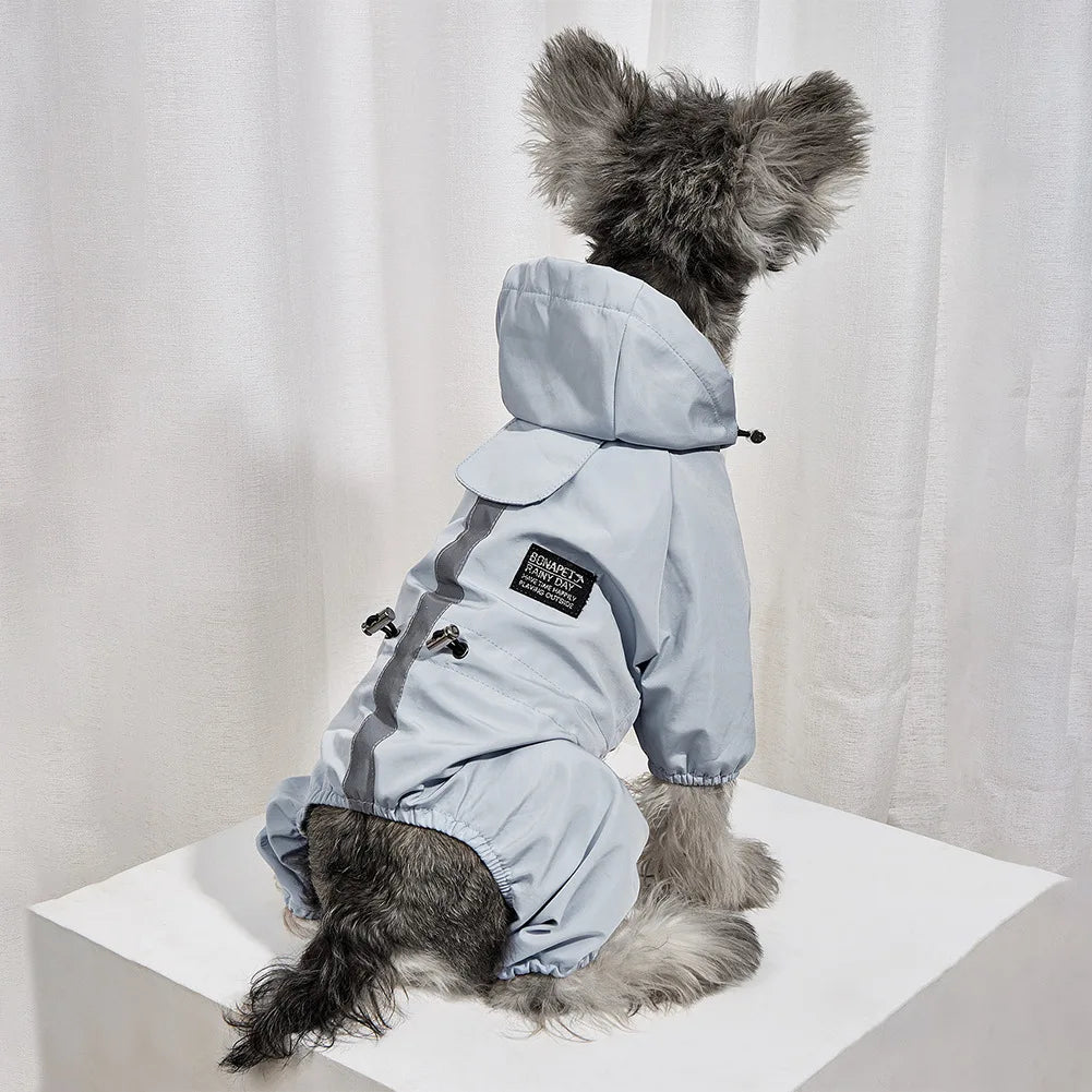 A gray dog wearing a light blue waterproof reflective raincoat and jumpsuit.